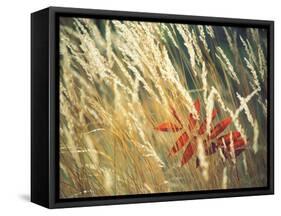 Red Leaf Stuck in Grass-null-Framed Stretched Canvas