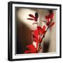 Red Leaves II-Rita Crane-Framed Art Print