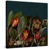 Red Leaves Magnolia Fruits-null-Stretched Canvas