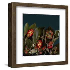 Red Leaves Magnolia Fruits-null-Framed Art Print