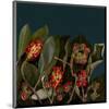 Red Leaves Magnolia Fruits-null-Mounted Art Print