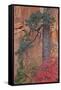 Red Leaves on a Big Tooth Maple-James Hager-Framed Stretched Canvas