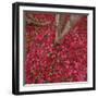 Red Leaves on Ground-Micha Pawlitzki-Framed Photographic Print