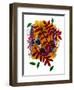 Red leaves-Sarah Thompson-Engels-Framed Giclee Print