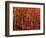 Red leaves-Marco Carmassi-Framed Photographic Print