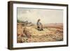 Red-Legged Partridge-Carl Donner-Framed Giclee Print