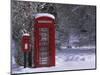 Red Letterbox and Telephone Box in the Snow, Highlands, Scotland, UK, Europe-David Tipling-Mounted Photographic Print