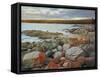 Red Lichen on Rocks, Bay of Fires, Bay of Fires Conservation Area, Tasmania, Australia, Pacific-Jochen Schlenker-Framed Stretched Canvas