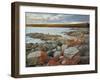 Red Lichen on Rocks, Bay of Fires, Bay of Fires Conservation Area, Tasmania, Australia, Pacific-Jochen Schlenker-Framed Photographic Print