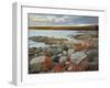 Red Lichen on Rocks, Bay of Fires, Bay of Fires Conservation Area, Tasmania, Australia, Pacific-Jochen Schlenker-Framed Photographic Print