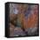 Red Lichen on Rocks-Micha Pawlitzki-Framed Stretched Canvas