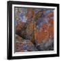 Red Lichen on Rocks-Micha Pawlitzki-Framed Photographic Print