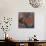 Red Lichen on Rocks-Micha Pawlitzki-Mounted Photographic Print displayed on a wall