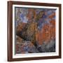 Red Lichen on Rocks-Micha Pawlitzki-Framed Photographic Print