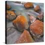 Red Lichens on Stones in the Valle Di Nardi, Trentino, Italy-Rainer Mirau-Stretched Canvas