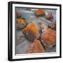 Red Lichens on Stones in the Valle Di Nardi, Trentino, Italy-Rainer Mirau-Framed Photographic Print