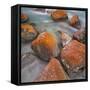 Red Lichens on Stones in the Valle Di Nardi, Trentino, Italy-Rainer Mirau-Framed Stretched Canvas