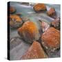 Red Lichens on Stones in the Valle Di Nardi, Trentino, Italy-Rainer Mirau-Stretched Canvas