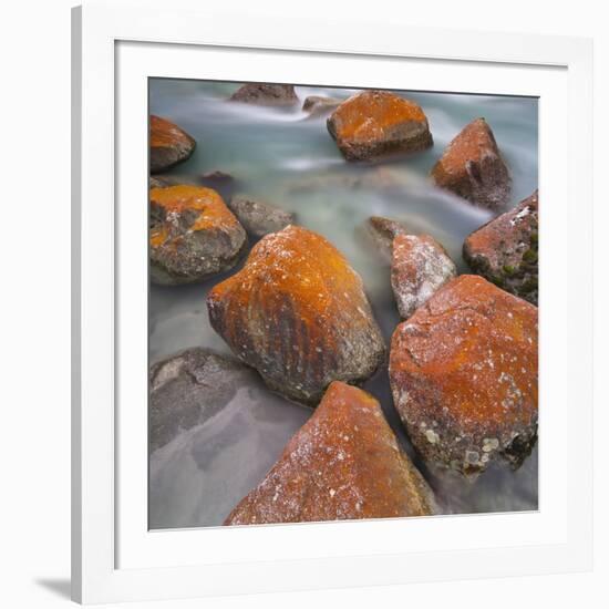 Red Lichens on Stones in the Valle Di Nardi, Trentino, Italy-Rainer Mirau-Framed Photographic Print