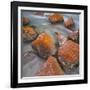 Red Lichens on Stones in the Valle Di Nardi, Trentino, Italy-Rainer Mirau-Framed Photographic Print