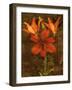 Red Lilies-John Seba-Framed Art Print