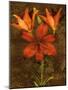 Red Lilies-John Seba-Mounted Art Print