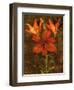 Red Lilies-John Seba-Framed Art Print