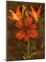 Red Lilies-John Seba-Mounted Art Print