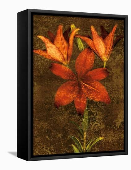 Red Lilies-John Seba-Framed Stretched Canvas