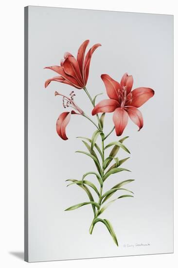 Red Lily II-Sally Crosthwaite-Stretched Canvas
