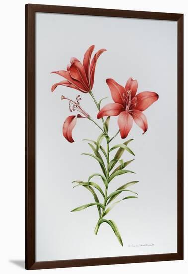 Red Lily II-Sally Crosthwaite-Framed Giclee Print
