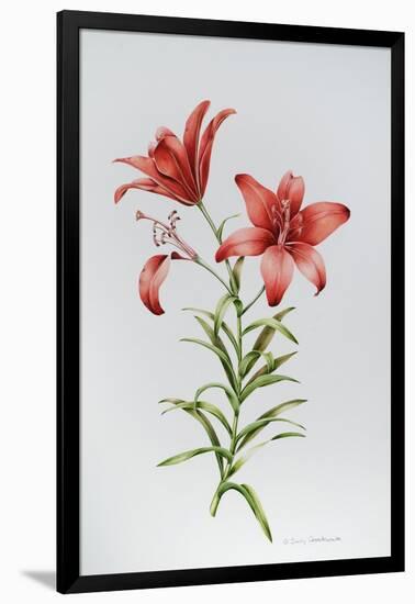 Red Lily II-Sally Crosthwaite-Framed Giclee Print