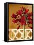 Red Lily of the Nile I-Patricia Pinto-Framed Stretched Canvas