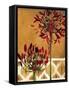 Red Lily of the Nile II-Patricia Pinto-Framed Stretched Canvas