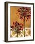 Red Lily of the Nile II-Patricia Pinto-Framed Art Print