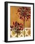 Red Lily of the Nile II-Patricia Pinto-Framed Art Print