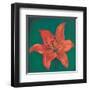 Red Lily-Urpina-Framed Art Print