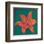 Red Lily-Urpina-Framed Art Print