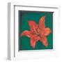 Red Lily-Urpina-Framed Art Print