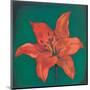Red Lily-Urpina-Mounted Art Print