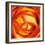 Red Lipped Yellow Rose-Joseph Eta-Framed Giclee Print