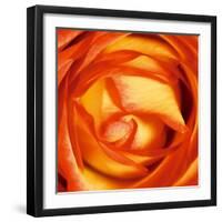 Red Lipped Yellow Rose-Joseph Eta-Framed Giclee Print