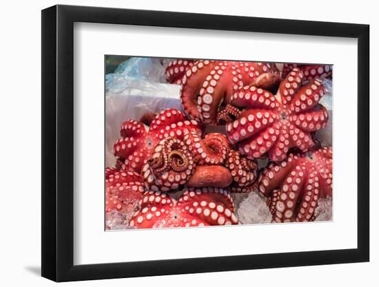 Red Live Octopus at Tsukiji Fish Market, Tokyo, Japan-javarman-Framed Photographic Print