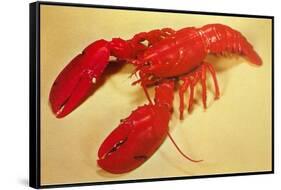 Red Lobster-null-Framed Stretched Canvas