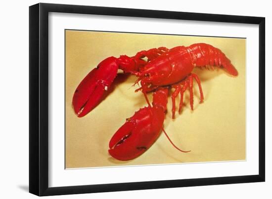 Red Lobster-null-Framed Art Print