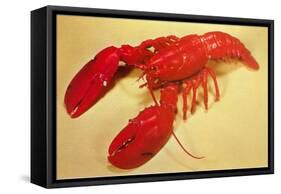 Red Lobster-null-Framed Stretched Canvas