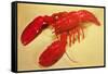 Red Lobster-null-Framed Stretched Canvas