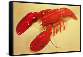 Red Lobster-null-Framed Stretched Canvas