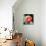 Red Lotus I-Jairo Rodriguez-Mounted Photographic Print displayed on a wall