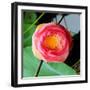 Red Lotus II-Jairo Rodriguez-Framed Photographic Print